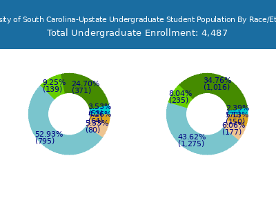 University of South Carolina-Upstate 2025 Undergraduate Enrollment by Gender and Race chart