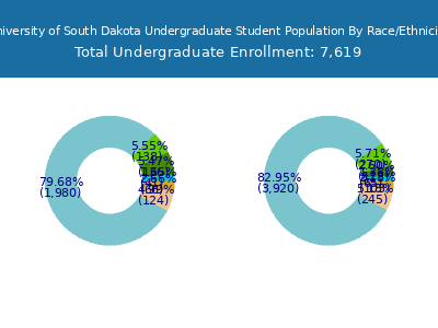 University of South Dakota 2025 Undergraduate Enrollment by Gender and Race chart