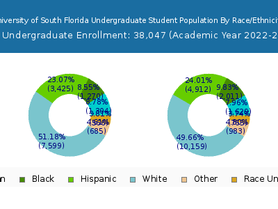 University of South Florida 2023 Undergraduate Enrollment by Gender and Race chart