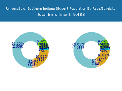 University of Southern Indiana 2025 Student Population by Gender and Race chart