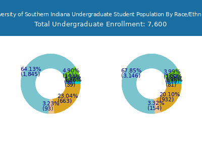 University of Southern Indiana 2025 Undergraduate Enrollment by Gender and Race chart