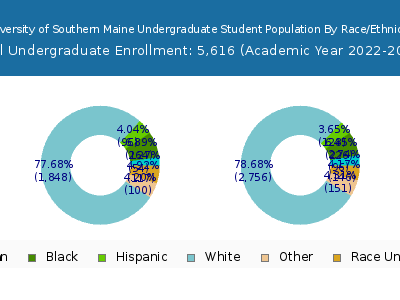 University of Southern Maine 2023 Undergraduate Enrollment by Gender and Race chart