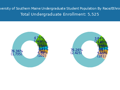 University of Southern Maine 2025 Undergraduate Enrollment by Gender and Race chart