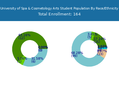 University of Spa & Cosmetology Arts 2025 Student Population by Gender and Race chart