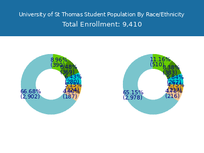 University of St Thomas 2025 Student Population by Gender and Race chart