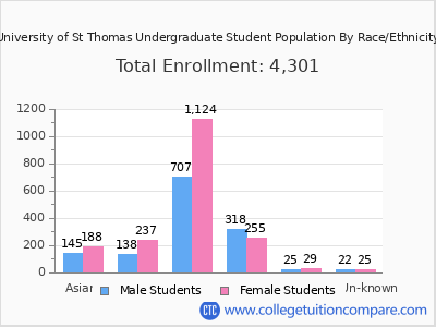 University of St Thomas 2025 Undergraduate Enrollment by Gender and Race chart