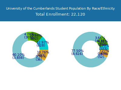University of the Cumberlands 2025 Student Population by Gender and Race chart