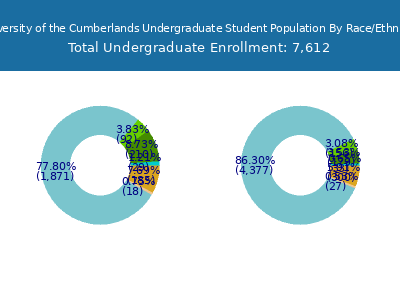 University of the Cumberlands 2025 Undergraduate Enrollment by Gender and Race chart