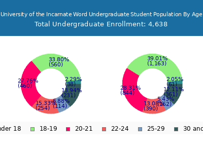University of the Incarnate Word 2025 Undergraduate Enrollment Age Diversity Pie chart