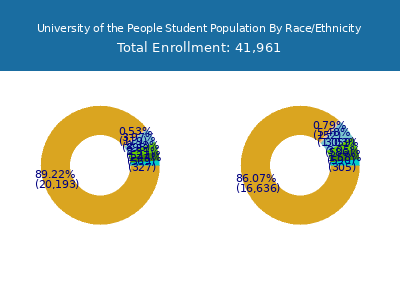 University of the People 2025 Student Population by Gender and Race chart