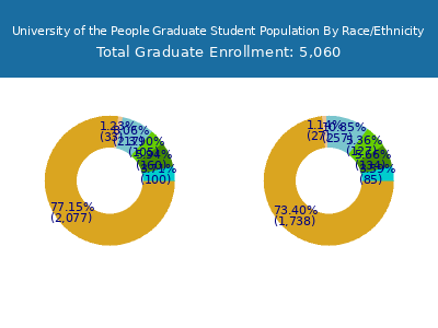 University of the People 2025 Graduate Enrollment by Gender and Race chart