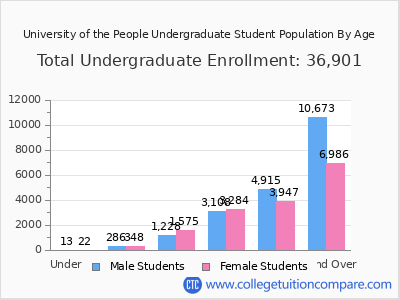 University of the People 2024 Undergraduate Enrollment by Age chart