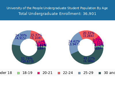 University of the People 2024 Undergraduate Enrollment Age Diversity Pie chart