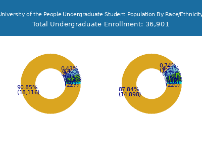 University of the People 2025 Undergraduate Enrollment by Gender and Race chart