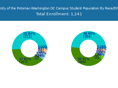 University of the Potomac-Washington DC Campus 2025 Student Population by Gender and Race chart