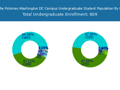 University of the Potomac-Washington DC Campus 2025 Undergraduate Enrollment by Gender and Race chart