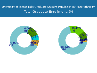 University of Toccoa Falls 2025 Graduate Enrollment by Gender and Race chart
