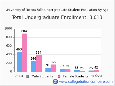 University of Toccoa Falls 2024 Undergraduate Enrollment by Age chart