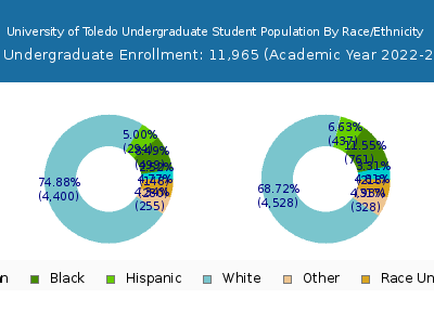University of Toledo 2023 Undergraduate Enrollment by Gender and Race chart