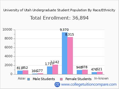 University of Utah 2025 Undergraduate Enrollment by Gender and Race chart