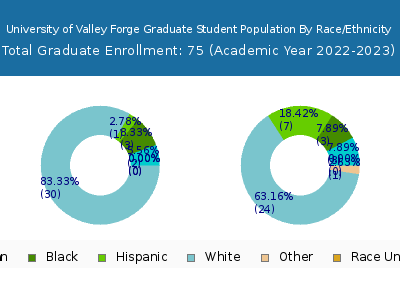 University of Valley Forge 2023 Graduate Enrollment by Gender and Race chart