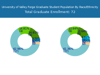 University of Valley Forge 2025 Graduate Enrollment by Gender and Race chart