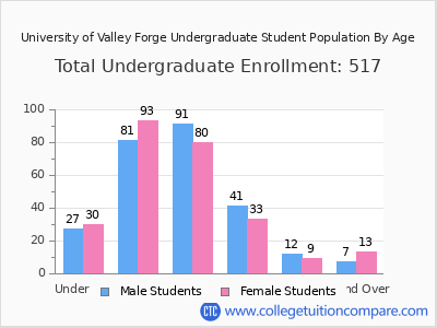 University of Valley Forge 2025 Undergraduate Enrollment by Age chart