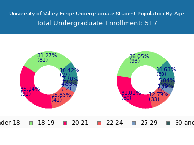 University of Valley Forge 2025 Undergraduate Enrollment Age Diversity Pie chart