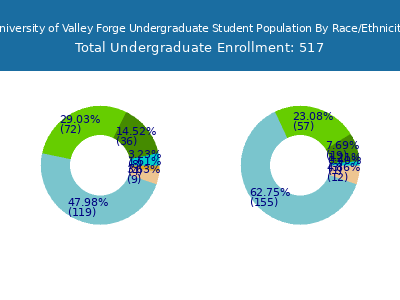 University of Valley Forge 2025 Undergraduate Enrollment by Gender and Race chart