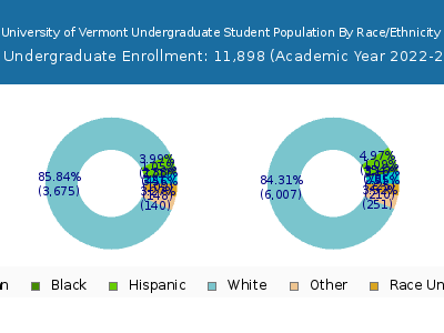 University of Vermont 2023 Undergraduate Enrollment by Gender and Race chart