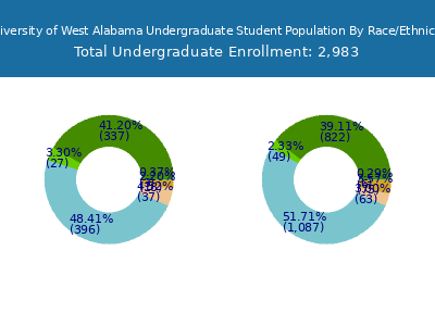 University of West Alabama 2025 Undergraduate Enrollment by Gender and Race chart