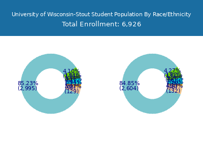 University of Wisconsin-Stout 2025 Student Population by Gender and Race chart
