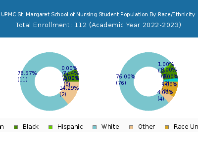 UPMC St. Margaret School of Nursing 2023 Student Population by Gender and Race chart