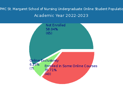 UPMC St. Margaret School of Nursing 2023 Online Student Population chart