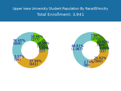 Upper Iowa University 2025 Student Population by Gender and Race chart
