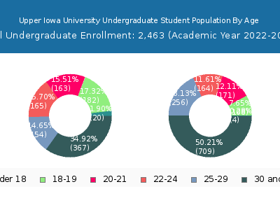Upper Iowa University 2023 Undergraduate Enrollment Age Diversity Pie chart