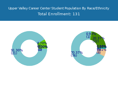 Upper Valley Career Center 2025 Student Population by Gender and Race chart
