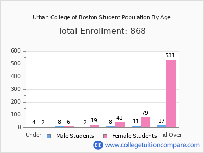 Urban College of Boston 2024 Student Population by Age chart