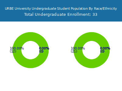 URBE University 2025 Undergraduate Enrollment by Gender and Race chart