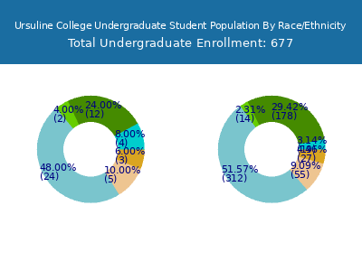 Ursuline College 2025 Undergraduate Enrollment by Gender and Race chart