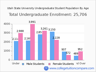 Utah State University 2025 Undergraduate Enrollment by Age chart