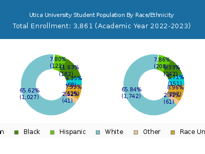 Utica University 2023 Student Population by Gender and Race chart