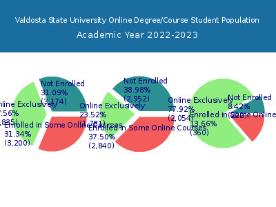 Valdosta State University 2023 Online Student Population chart