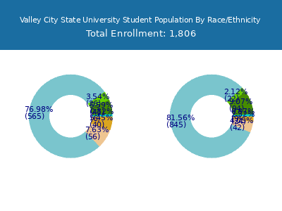 Valley City State University 2025 Student Population by Gender and Race chart