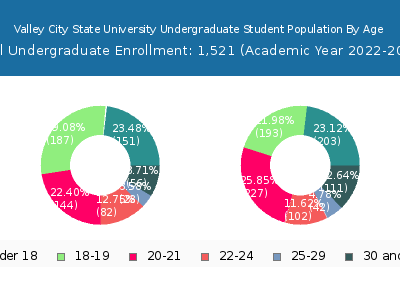 Valley City State University 2023 Undergraduate Enrollment Age Diversity Pie chart
