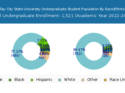Valley City State University 2023 Undergraduate Enrollment by Gender and Race chart