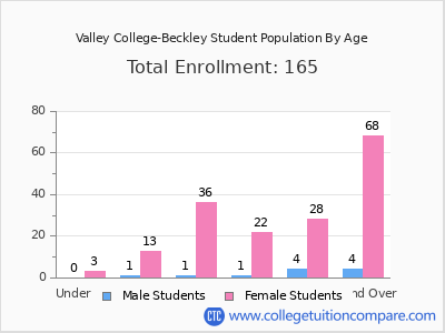 Valley College-Beckley 2024 Student Population by Age chart