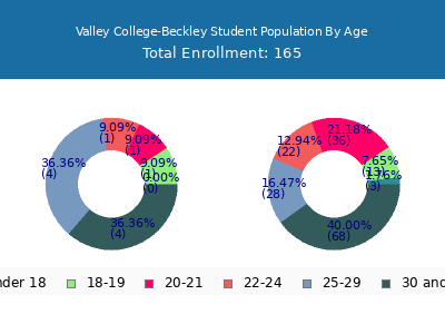 Valley College-Beckley 2024 Student Population Age Diversity Pie chart