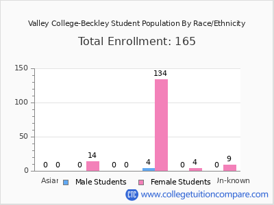 Valley College-Beckley 2025 Student Population by Gender and Race chart