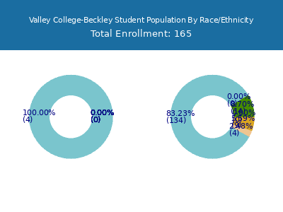 Valley College-Beckley 2025 Student Population by Gender and Race chart